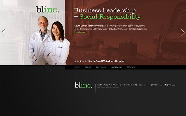 Blinc website homepage slide 3