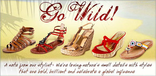 Shop The Shoe Box email banner