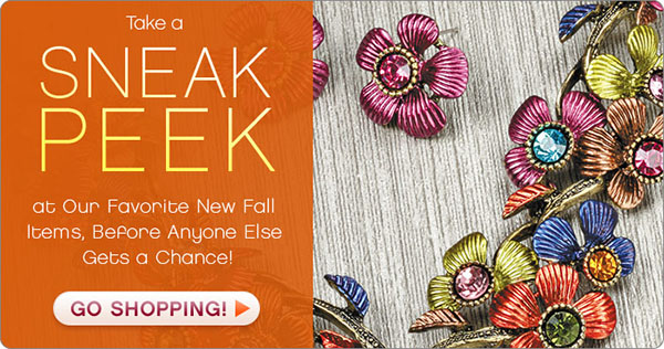 Smithsonian retail homepage banner