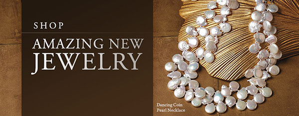 Smithsonian retail homepage banner